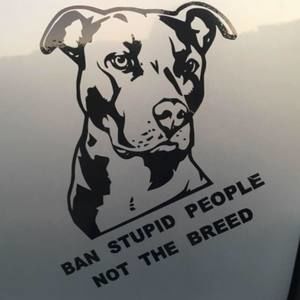 Meet your Posher, Karissa